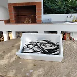 Casa Do Algarvito *