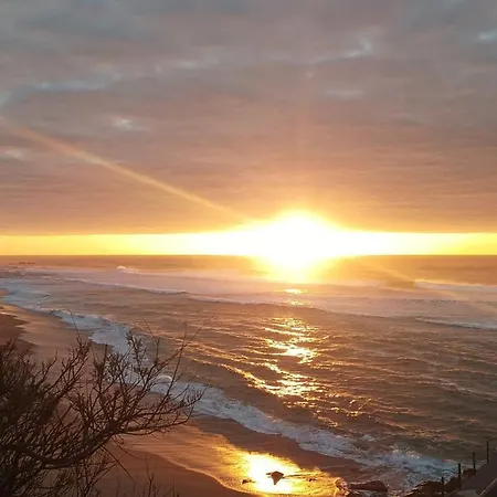 Casa Do Algarvito Hébergement de vacances Terrugem
