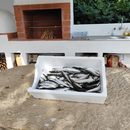 Casa Do Algarvito *